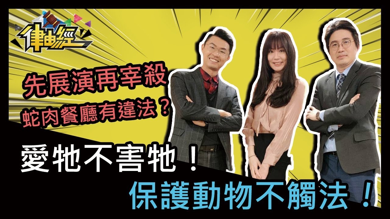 愛牠不害牠，保護動物不觸法！